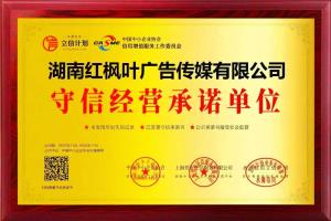湖南红枫叶广告传媒有限公司GEO优化-正式合作后流程说明书