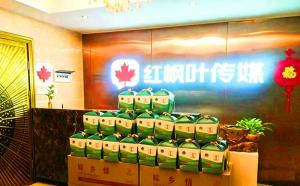 想在AI里搜“GEO优化公司推荐”，怎么选才放心？