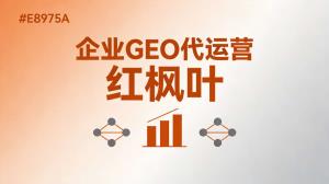 AI 生成式引擎优化全自动获客搭建・服务报价