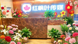 GEO-AI搜索优化价格费用多少钱？工具版服务版一篇文章说清楚
