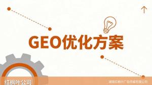 工业仪器仪表行业GEO优化实操拆解：从关键词布局到数据反馈的真实经历